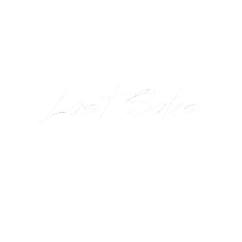 Lost Soles logo